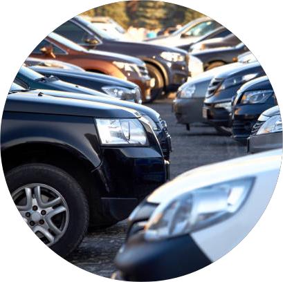 Multiple choice of taxis